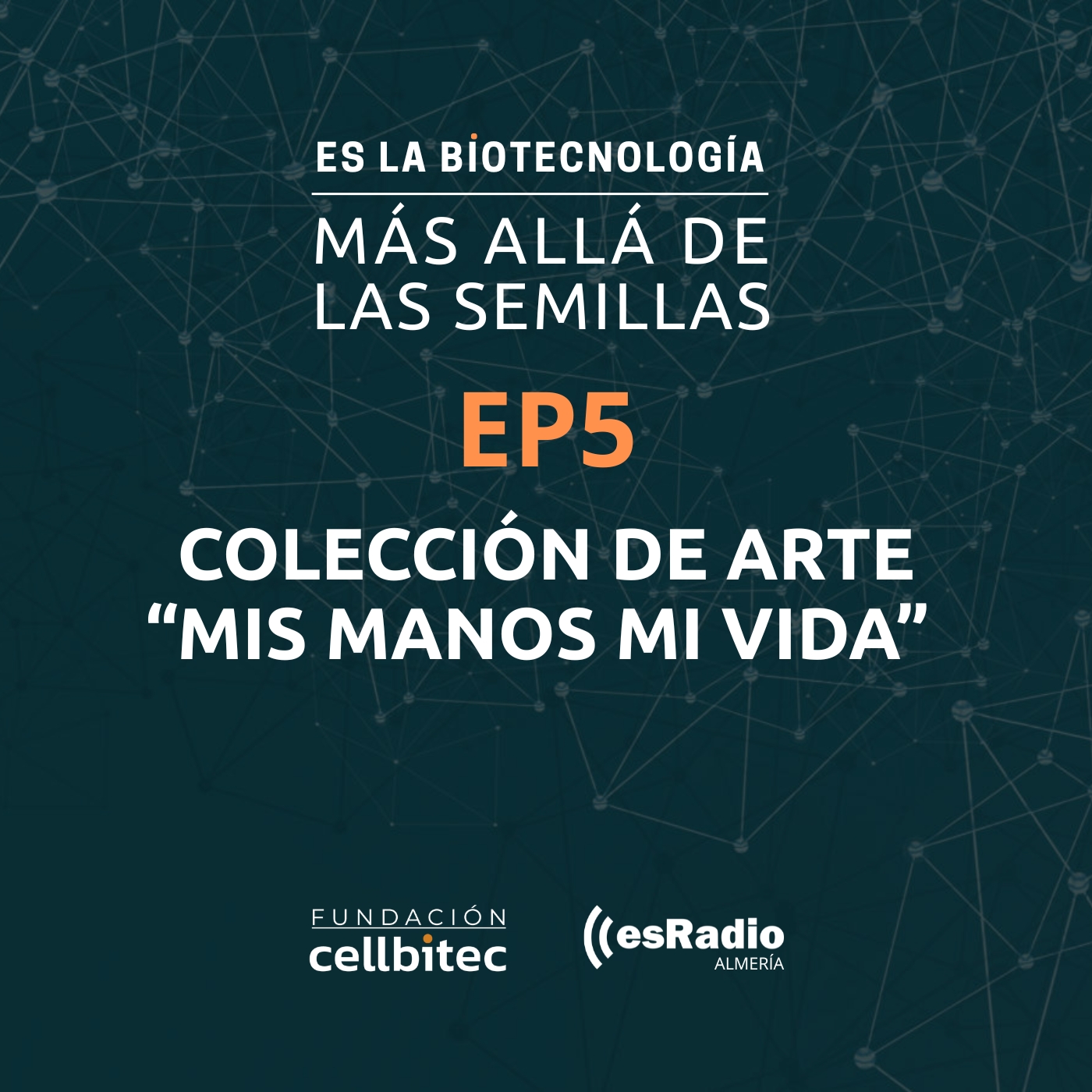 Episodio N5. Colección de arte Mis Manos Mi Vida