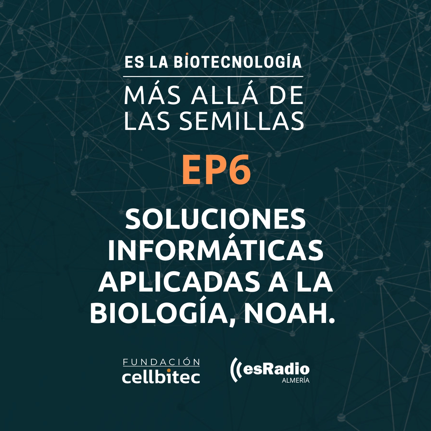 Episodio 6. Colección de arte Mis Manos Mi Vida