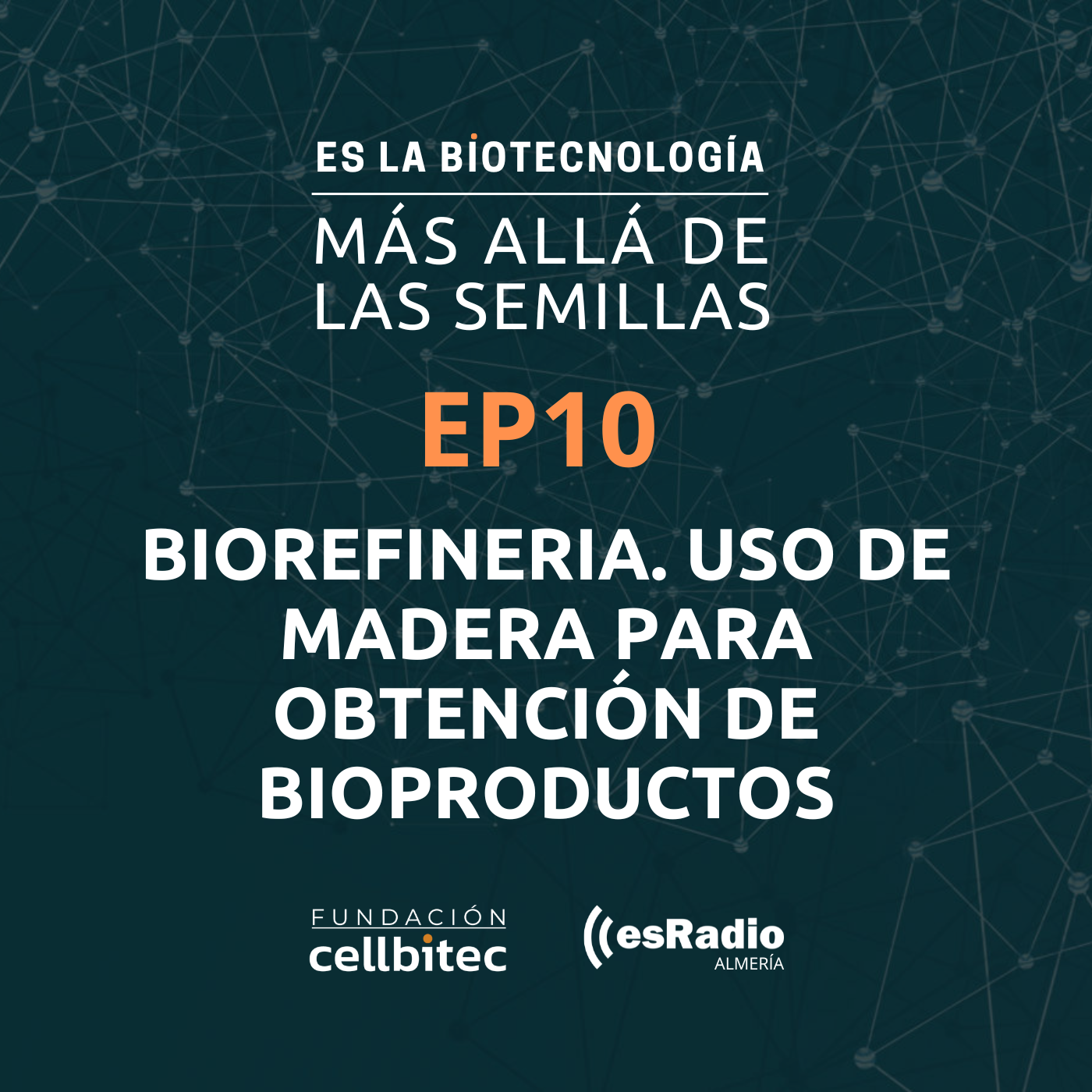 Episodio 10. Biorefinería. Uso de madera para obtención de bioproductos